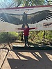 photo thumbnail #13