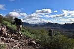photo thumbnail #3