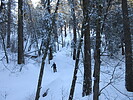 photo thumbnail #2