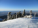 photo thumbnail #10