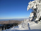 photo thumbnail #11