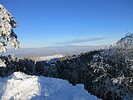 photo thumbnail #13