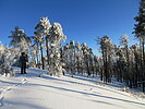 photo thumbnail #15