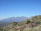 photo thumbnail #5