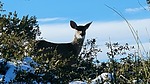 photo thumbnail #2