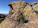 photo thumbnail #8