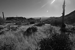 photo thumbnail #10