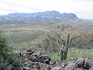 photo thumbnail #10