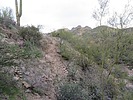 photo thumbnail #1