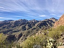photo thumbnail #4