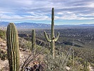 photo thumbnail #5