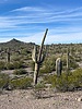 photo thumbnail #11