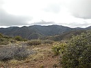 photo thumbnail #5