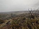 photo thumbnail #13
