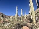 photo thumbnail #9