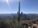 photo thumbnail #10