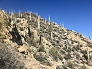 photo thumbnail #14