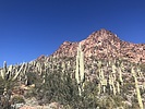 photo thumbnail #15