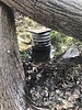 Featured Full Photo
