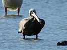 photo thumbnail #15