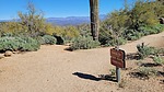 photo thumbnail #15