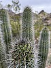 2023-01-14 :1: Bull Pasture - Estes Canyon Loop :: cindyl