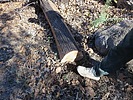 photo thumbnail #5