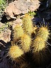 photo thumbnail #5