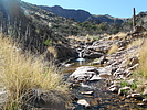photo thumbnail #7