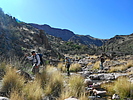 photo thumbnail #8