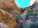 photo thumbnail #6