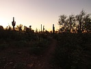 photo thumbnail #3