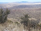 2023-01-28 :3: Mae West Peaks :: DixieFlyer