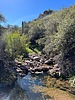 photo thumbnail #13