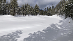 photo thumbnail #11