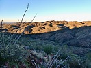 photo thumbnail #4