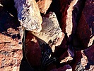 photo thumbnail #9