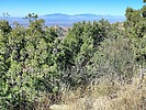 2023-01-27 :2: Sala Benchmark - Dragoon Mountains :: DixieFlyer