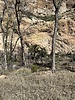 2023-01-27 :1: Arnett Creek - Canyon :: xsproutx