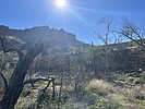 recent photo