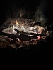 photo thumbnail #6