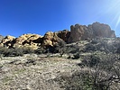 recent photo