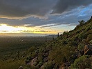 photo thumbnail #12