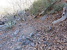 photo thumbnail #2
