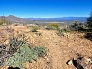 photo thumbnail #2