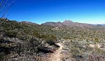 photo thumbnail #10