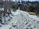 photo thumbnail #3