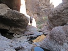 photo thumbnail #13