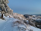 photo thumbnail #13