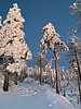 photo thumbnail #14